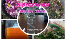 Bioglowing Teknologi SAKA Bisa Buat Wajah “Kinclong”