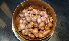 Pupuk Bawang artinya Pemberian Pupuk yang Seimbang, Agar Banyak Umbinya