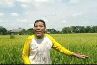 Mujianto Petani Padi di Bojonegoro, Jawa Timur