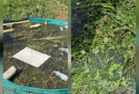POC Rumput Teknologi SAKA