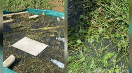 POC Rumput Teknologi SAKA