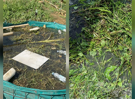 POC Rumput Teknologi SAKA