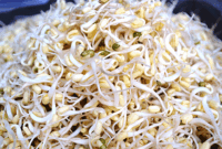 Foto: Dokumen Desa Tauge Kismoyo, Solo