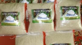 Beras Organik Biosaka Migunani di Produksi Nafi