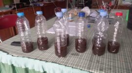 Parfum Urine Pengganti Insektisida. Ramah Lingkungan, Ramah Kantong dan Jiwa Raga Sehat.