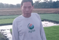 Mujianto Petani Padi Organik di Bojonegoro.