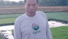 Mujianto Petani Padi Organik di Bojonegoro.