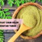 Masker Daun Kelor