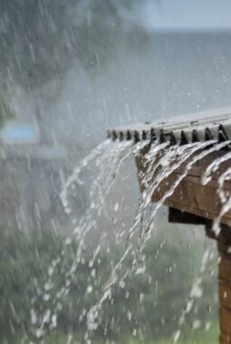 Tren di Kalangan Remaja, Membuang Eco Enzyme Saat Hujan