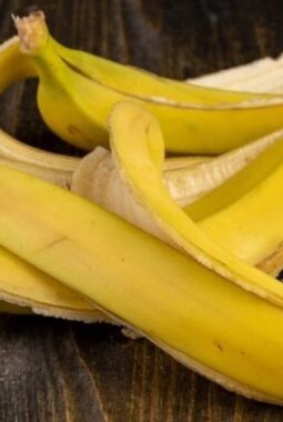 Eco Enzyme dari Kulit Buah Pisang: Solusi Alami untuk Lingkungan yang Lebih Sehat