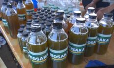 Mengenal BIOSAKA: Teknologi SAKA Berbasis Fisika Kuantum untuk Pertanian Sehat dan Harmonis