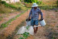 xr:d:DAFizWPAWBw:165,j:1877270299340349159,t:23070112