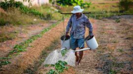 xr:d:DAFizWPAWBw:165,j:1877270299340349159,t:23070112