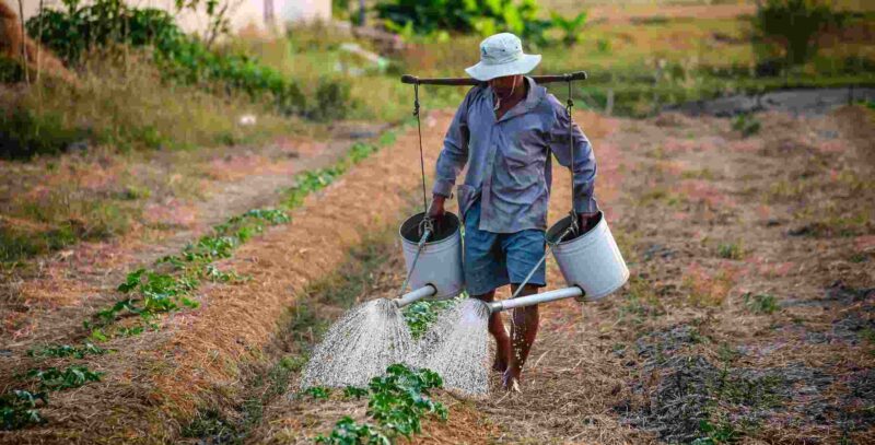 xr:d:DAFizWPAWBw:165,j:1877270299340349159,t:23070112