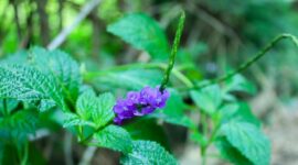 sumber gambar ilustrasi