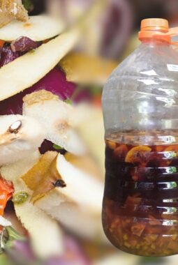 Peranan Eco Enzyme dalam Pengelolaan Sampah Organik: Solusi Alami Menuju Lingkungan yang Lebih Bersih