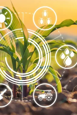 Pertanian Cerdas Iklim Berbasis Agen Hayati: Solusi Berkelanjutan di Tengah Perubahan Iklim