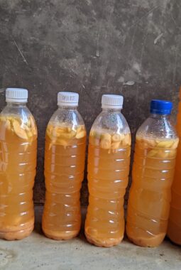 Manfaat Eco Enzyme sebagai Penghilang Bau di Dapur & WC