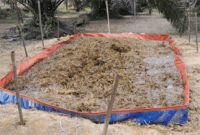 POC Rendaman Rumput di Kecamatan Pelepat Ilir Jambi