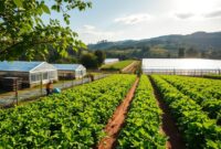 sumber foto: Usaha Hortikultura