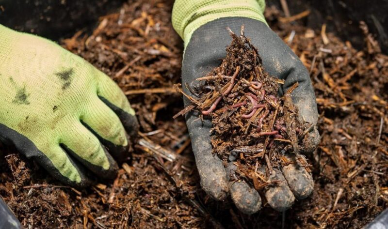 sumber foto: th.bing.com