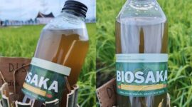 sumber foto: pangannews.id
