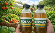 Tanaman Juga Butuh Skincare: Mengenal Biosaka untuk Tanaman Sehat dan Produktif