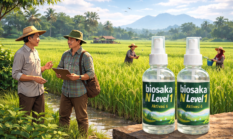 Akhirnya Terungkap! Ini Alasan N-Level 1 Belum Diajarkan ke Petani