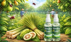 Lalat Buah Auto Kabur! Sains di Balik Sinergi Sereh, Buah Pace, dan BIOSAKA