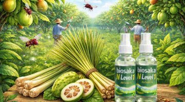 Lalat Buah Auto Kabur! Sains di Balik Sinergi Sereh, Buah Pace, dan BIOSAKA