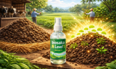 Kohe Sapi Jadi Pupuk Super? Ini Fakta Sebenarnya di Balik BIOSAKA N Level 1