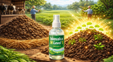 Kohe Sapi Jadi Pupuk Super? Ini Fakta Sebenarnya di Balik BIOSAKA N Level 1