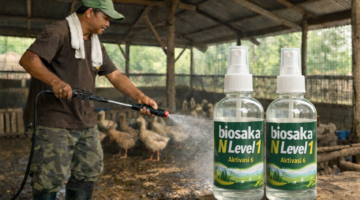 Nlevel1 di Kandang Bebek: Cara Alami Hilangkan Bau dan Dorong Produktivitas