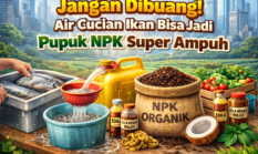 Jangan Dibuang! Air Cucian Ikan Bisa Jadi Pupuk NPK Super Ampuh