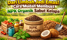 Dari Limbah Jadi Emas! Cara Mudah Membuat NPK Organik Sabut Kelapa