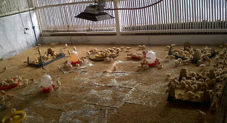 foto slider headline