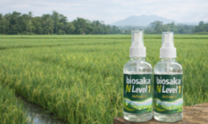 Padi Biosaka di Subang: Dari Keraguan Menuju Keyakinan, Kisah Nyata Petani yang Berani Berubah