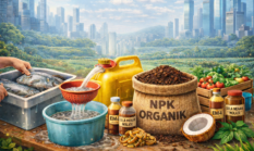 Jangan Dibuang! Air Cucian Ikan Bisa Jadi Pupuk NPK Super Ampuh