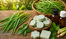 Cuma Pakai Rumput, Anda Bisa Membuat Kapur Barus Organik yang Wangi dan Tahan Lama