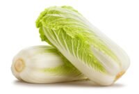 chinese cabbage isolated