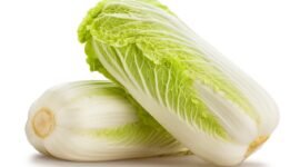 chinese cabbage isolated