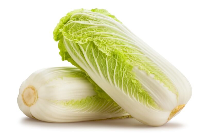chinese cabbage isolated