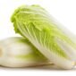 chinese cabbage isolated