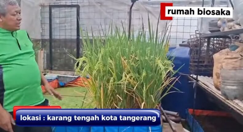 foto slider headline
